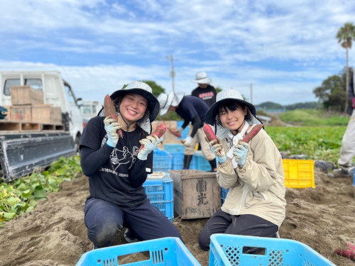 令和５年度なると金時編３参加者写真